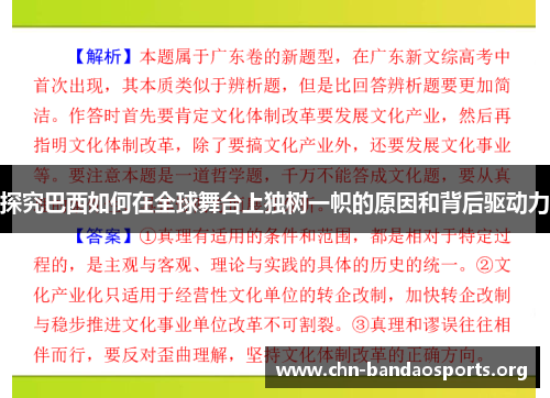 探究巴西如何在全球舞台上独树一帜的原因和背后驱动力