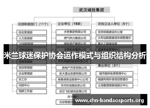 米兰球迷保护协会运作模式与组织结构分析