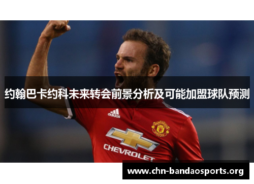 约翰巴卡约科未来转会前景分析及可能加盟球队预测