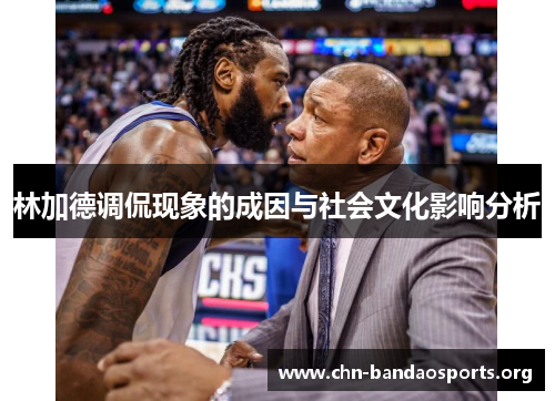 林加德调侃现象的成因与社会文化影响分析