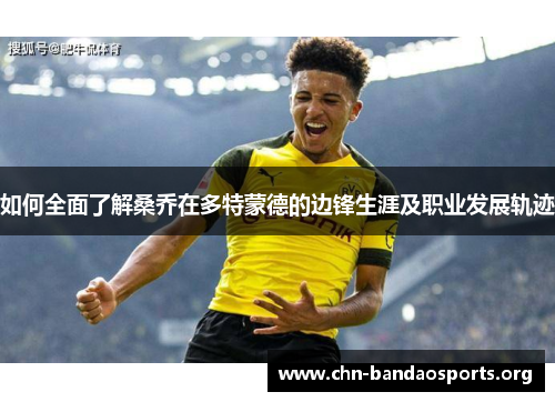 如何全面了解桑乔在多特蒙德的边锋生涯及职业发展轨迹